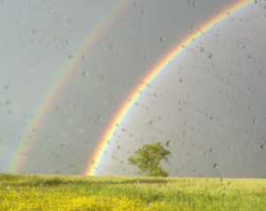Regenbogen1